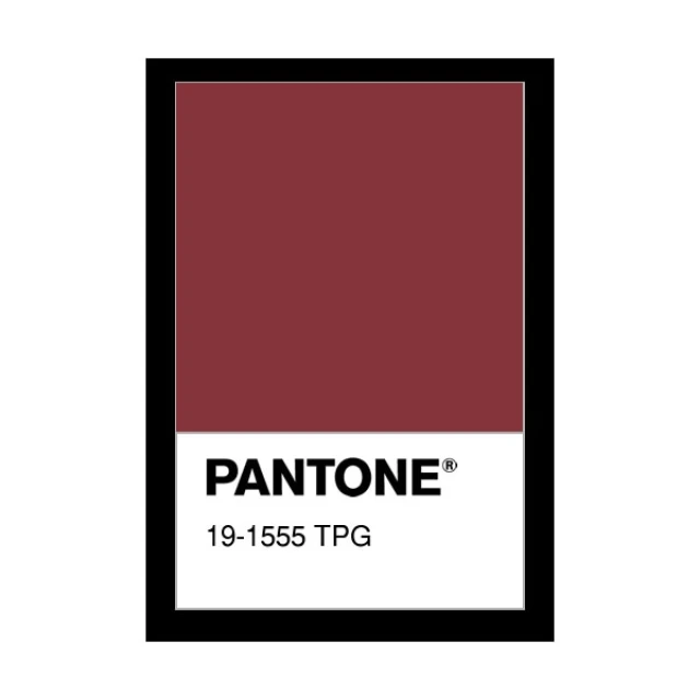 ผ้า TK20 Single(เลือดหมู)