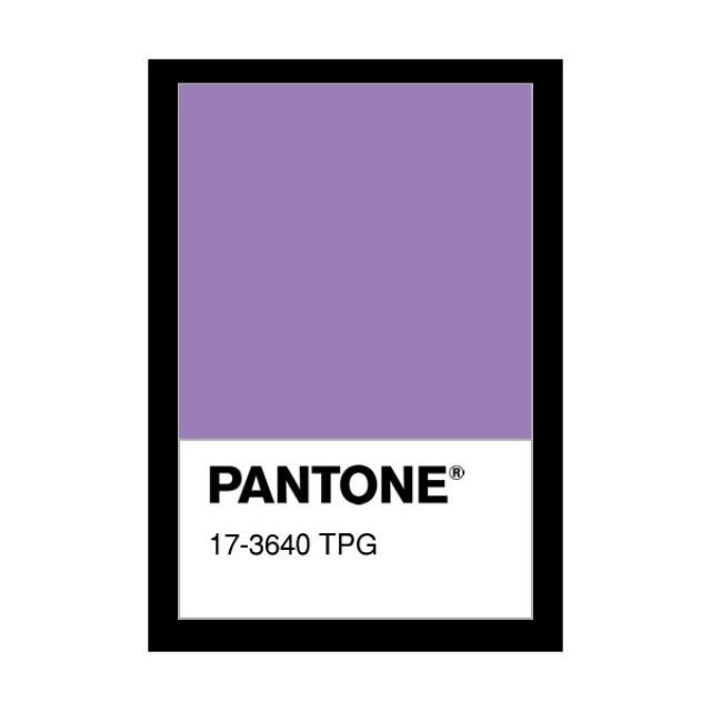 ผ้าจุติ warpknit