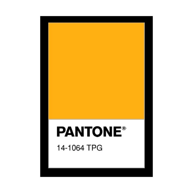 ผ้าจูติ warpknit