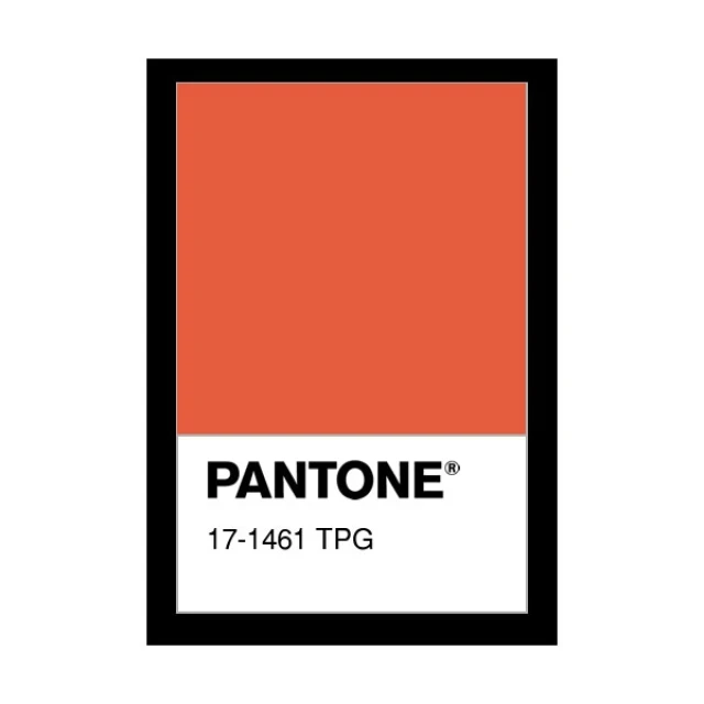 ผ้าตาข่ายรูเล็ก(ส้มสด)