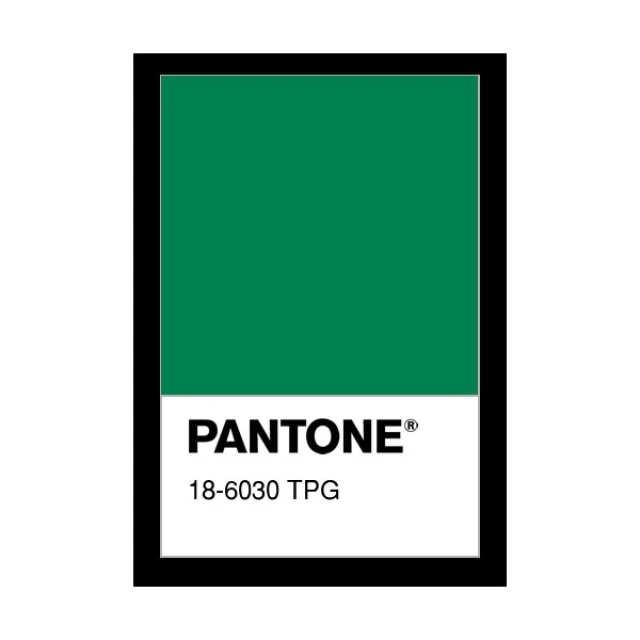 ผ้าตาข่ายรูเล็ก(เขียวสด)