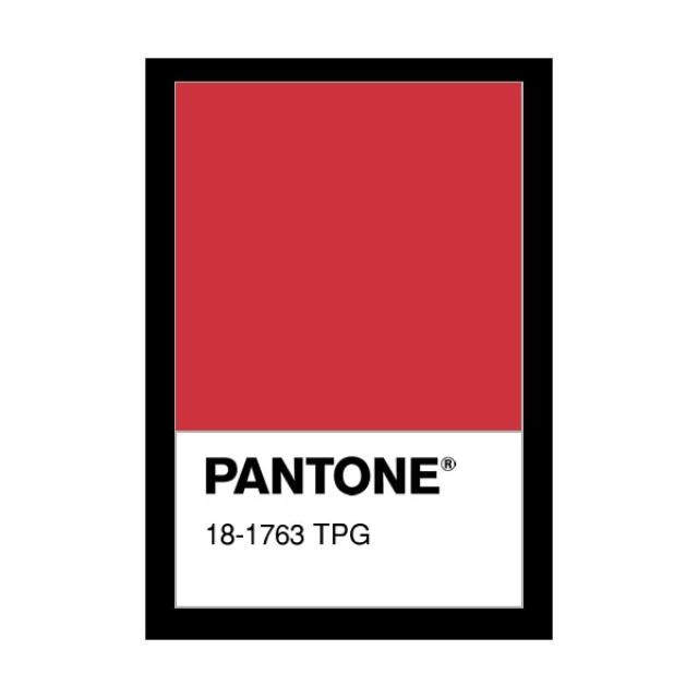 ผ้าทอยฟลีซ (แดง)