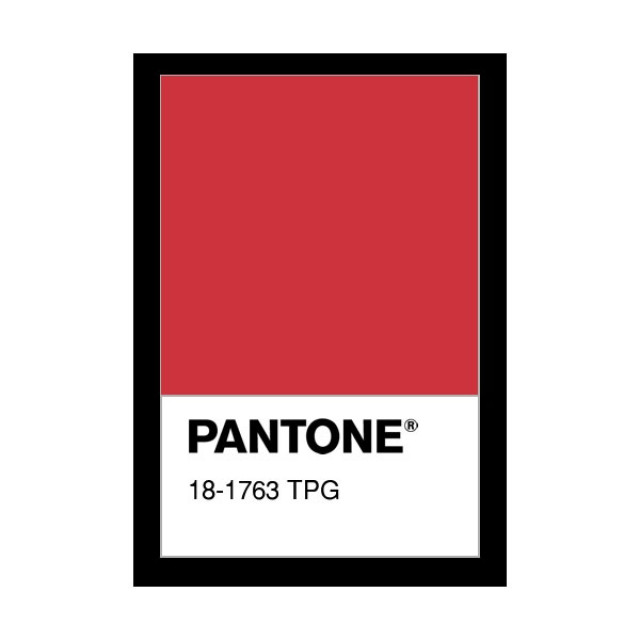 ผ้าบุ้งวอร์ม 2*2(แดง)