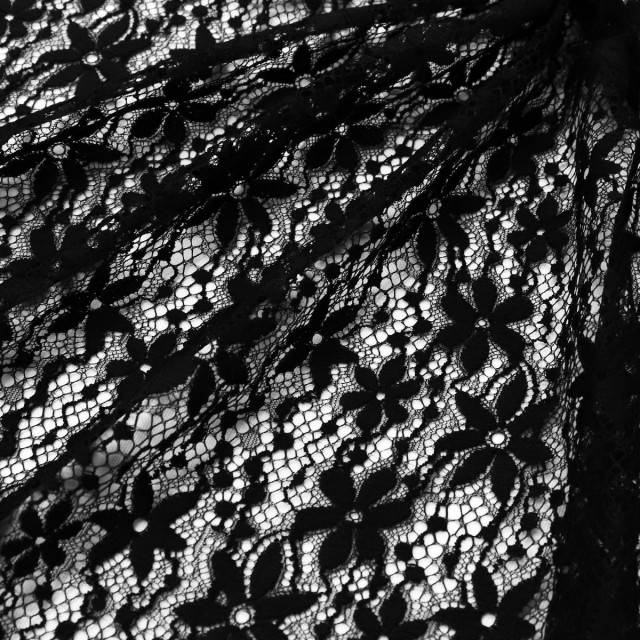 ผ้าลูกไม้(ดอกไม้จิ๋วดำ)