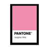 ผ้าเม็ดข้าวโพดไมโคร(ชมพูอ่อน) # 5